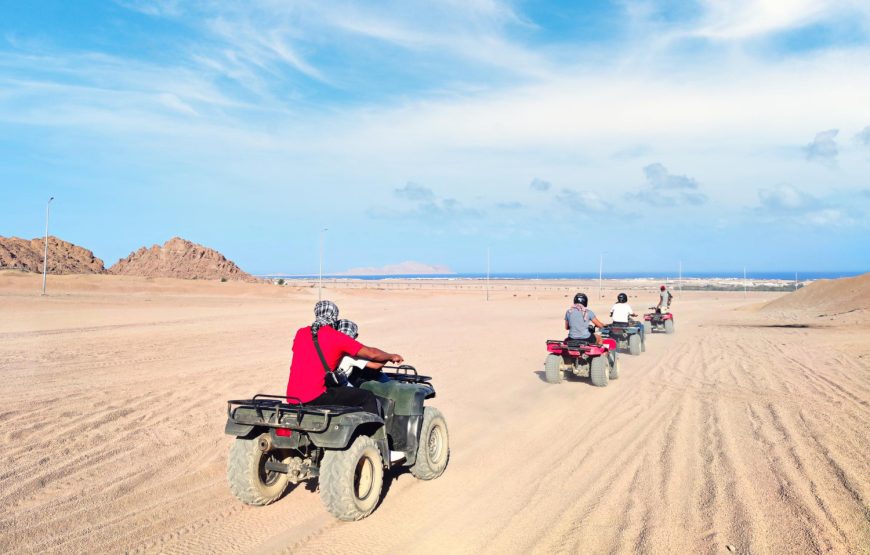 Tägliche Safari-Programme in Hurghada