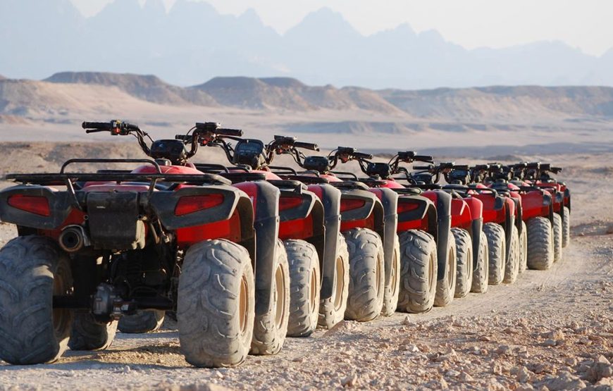 5-in-1-Safari in Sharm El-Sheikh