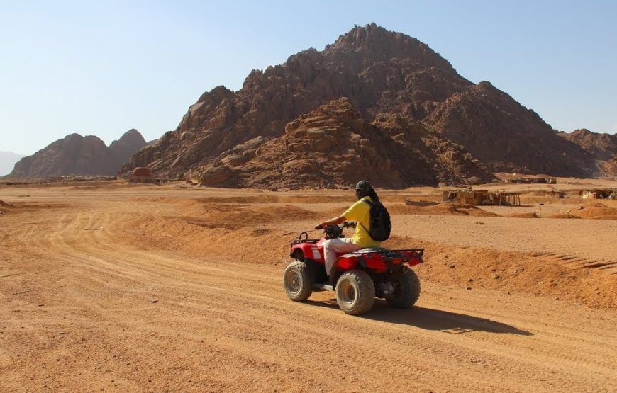 5-in-1-Safari in Sharm El-Sheikh