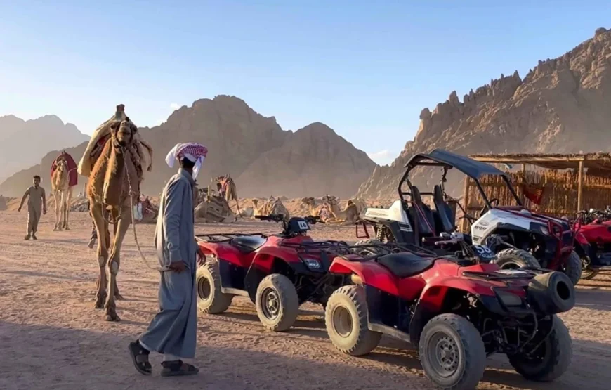 5-in-1-Safari in Sharm El-Sheikh